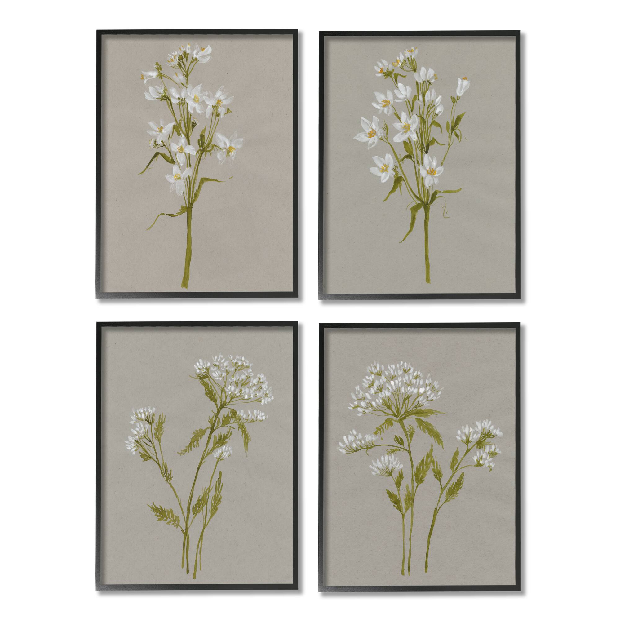 Stupell Industries Vintage White Wild Flower Study Soft Petals in Frame Wall Art